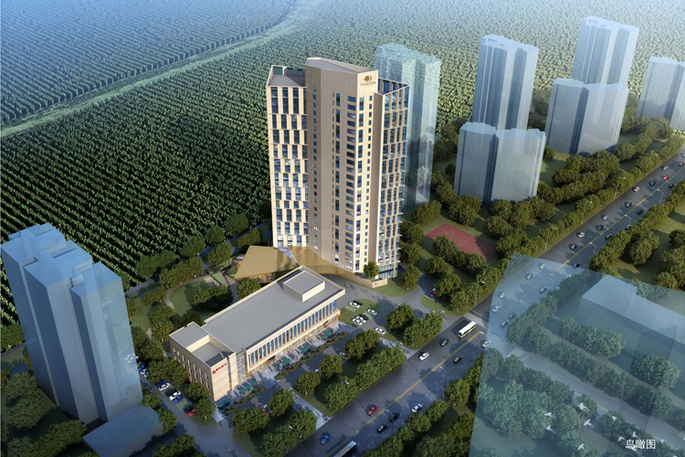 ����������ò���ϣ���������ùݹ�Ԣ��Ŀ��������ⶥ��